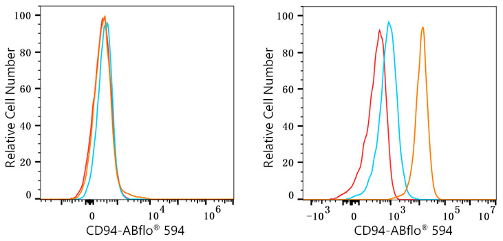 ABflo® 594 Rabbit anti-Human CD94 mAb