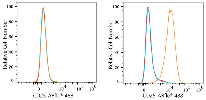 ABflo® 488 Rabbit anti-Mouse CD25 mAb