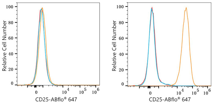 ABflo® 647 Rabbit anti-Mouse CD25 mAb