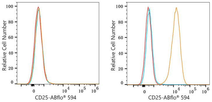 ABflo® 594 Rabbit anti-Mouse CD25 mAb