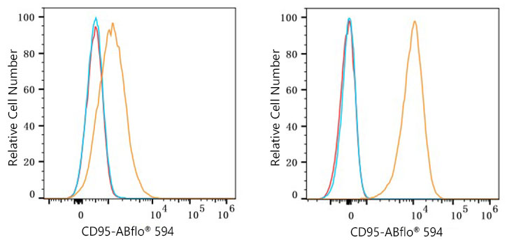 ABflo® 594 Rabbit anti-Mouse CD95/FAS mAb