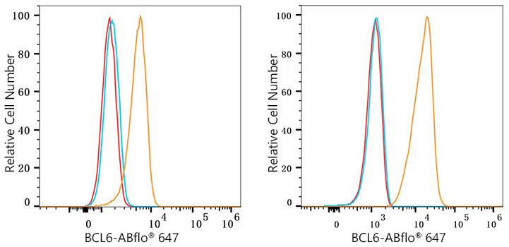 ABflo® 647 Rabbit anti-Human/Mouse BCL6 mAb