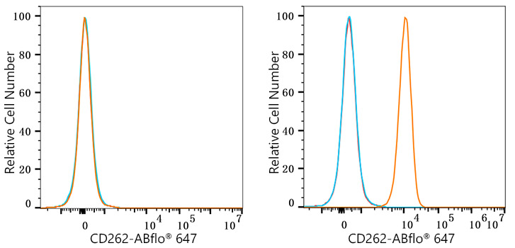 ABflo® 647 Rabbit anti-Human CD262/DR5/TRAILR2 mAb