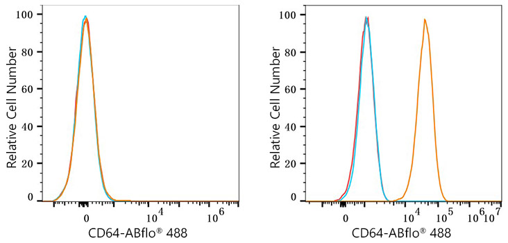 ABflo® 488 Rabbit anti-Mouse FcγRI/CD64 mAb