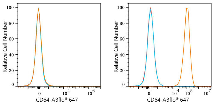 ABflo® 647 Rabbit anti-Mouse FcγRI/CD64 mAb