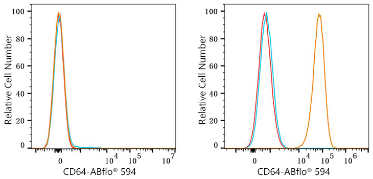 ABflo® 594 Rabbit anti-Mouse FcγRI/CD64 mAb