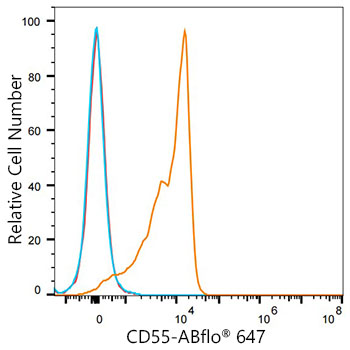 ABflo® 647 Rabbit anti-Mouse/Human CD55 mAb