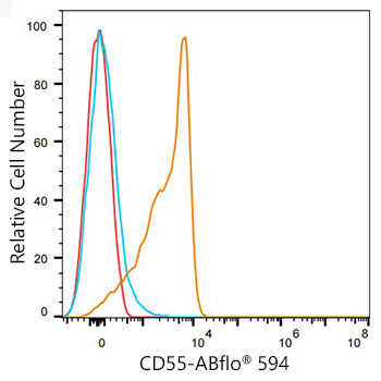 ABflo® 594 Rabbit anti-Mouse/Human CD55 mAb