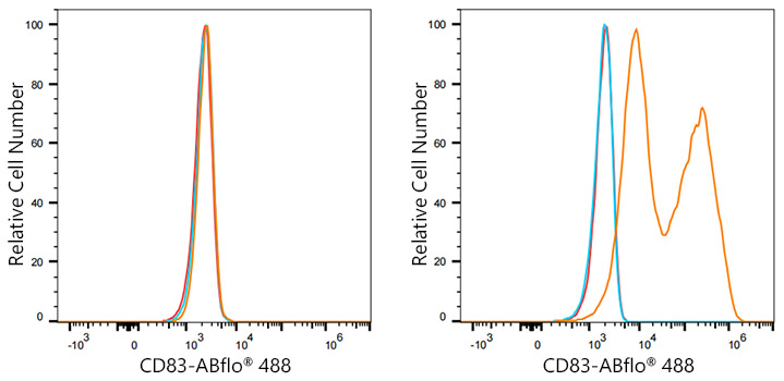 ABflo® 488 Rabbit anti-Mouse CD83 mAb