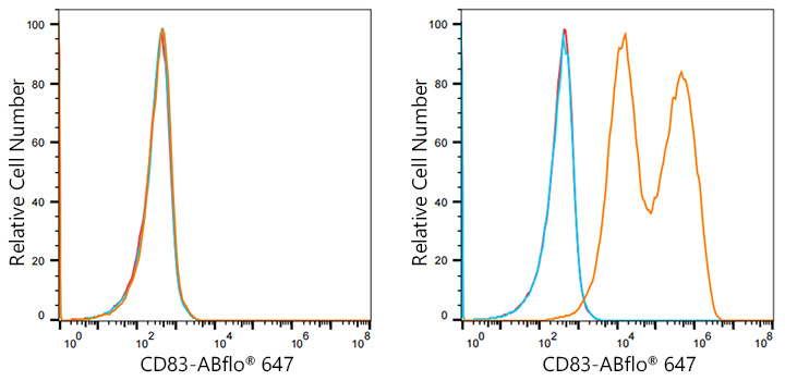 ABflo® 647 Rabbit anti-Mouse CD83 mAb