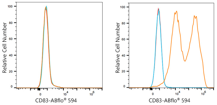 ABflo® 594 Rabbit anti-Mouse CD83 mAb