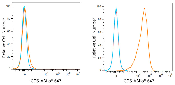 ABflo® 647 Rabbit anti-Mouse CD5 mAb