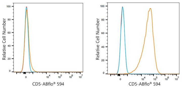 ABflo® 594 Rabbit anti-Mouse CD5 mAb