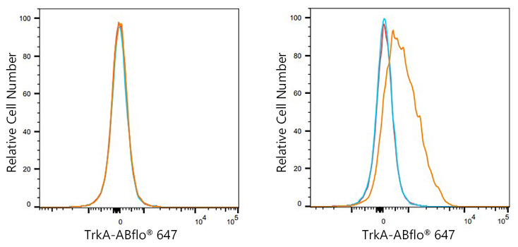 ABflo® 647 Rabbit anti-Human TrkA mAb