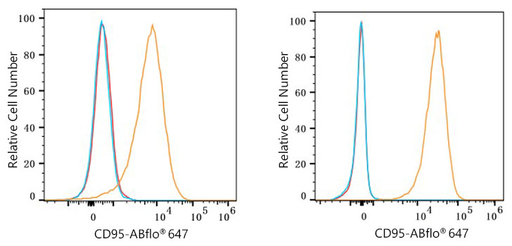 CD95 Rabbit mAb