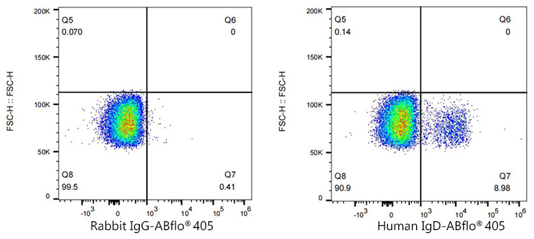 ABflo® 405 Rabbit anti-Human IgD mAb