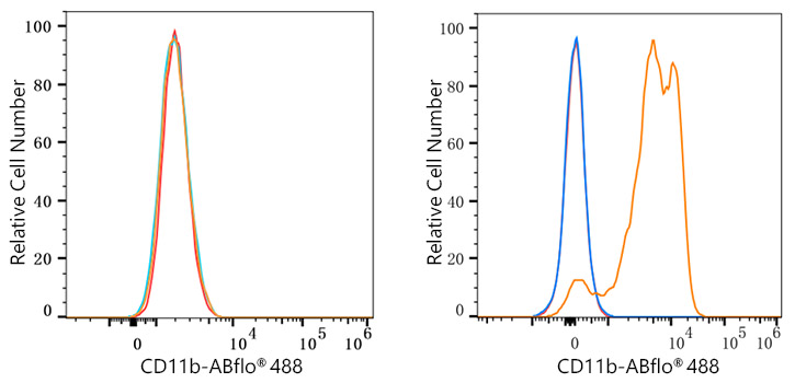 ABflo® 488 Rabbit anti-Mouse CD11b mAb