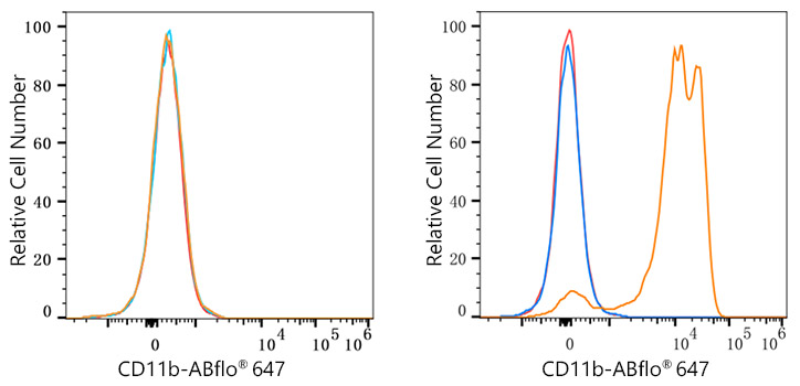 ABflo® 647 Rabbit anti-Mouse CD11b mAb