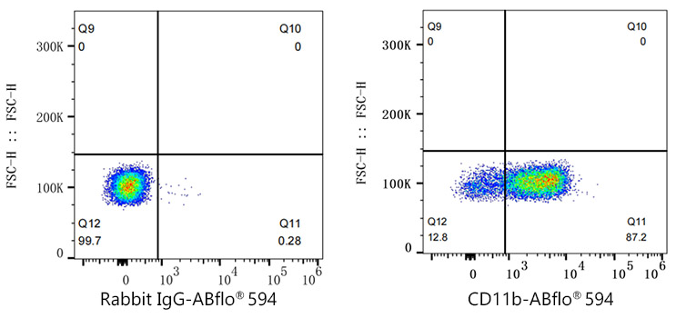 ABflo® 594 Rabbit anti-Mouse CD11b mAb