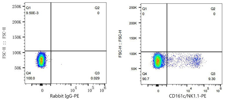 PE Rabbit anti-Mouse CD161c/NK1.1 mAb