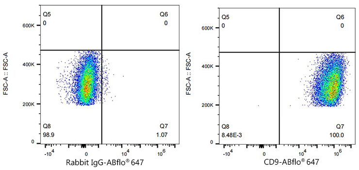 ABflo® 647 Rabbit anti-Human CD9 mAb