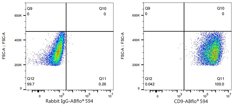 ABflo® 594 Rabbit anti-Human CD9 mAb