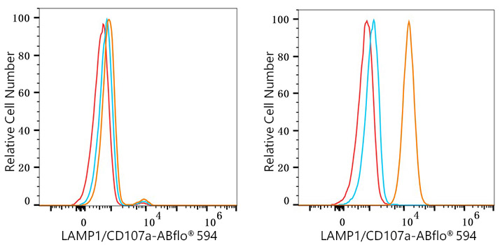 ABflo® 594 Rabbit anti-Human LAMP1/CD107a mAb