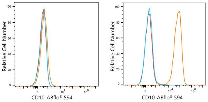 ABflo® 594 Rabbit anti-Human CD10 mAb