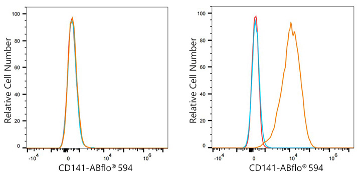 ABflo® 594 Rabbit anti-Human CD141/Thrombomodulin mAb