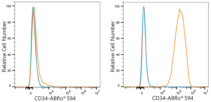 ABflo® 594 Rabbit anti-Mouse CD34 mAb