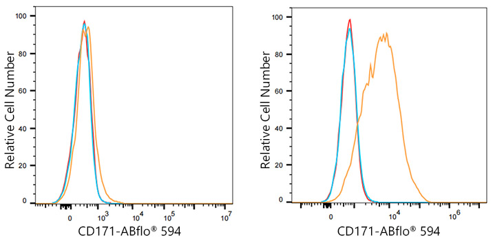 ABflo® 594 Rabbit anti-Human CD171/L1CAM mAb