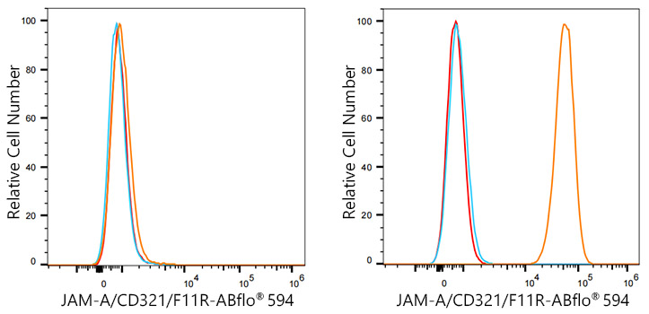 ABflo® 594 Rabbit anti-Human JAM-A/CD321/F11R mAb