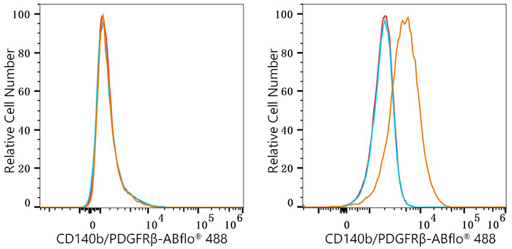 ABflo® 488 Rabbit anti-Human CD140b/PDGFRβ mAb