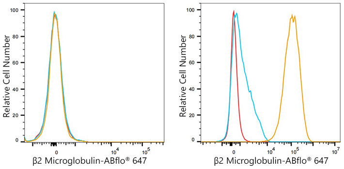 ABflo® 647 Rabbit anti-Human β2 Microglobulin mAb