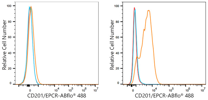 ABflo® 488 Rabbit anti-Human CD201/EPCR mAb