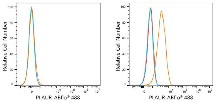 ABflo® 488 Rabbit anti-Human CD87/PLAUR mAb