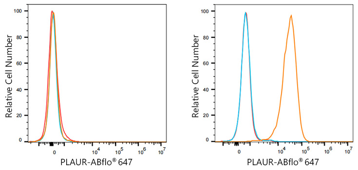 ABflo® 647 Rabbit anti-Human CD87/PLAUR mAb