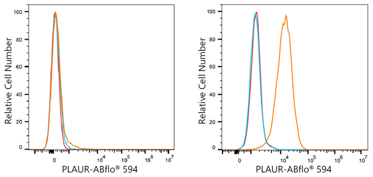 ABflo® 594 Rabbit anti-Human CD87/PLAUR mAb