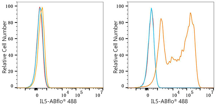 ABflo® 488 Rabbit anti-Human IL-5 mAb