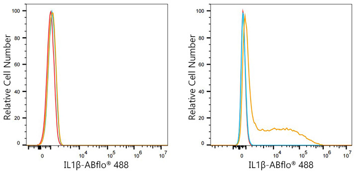 ABflo® 488 Rabbit anti-Human IL-1β mAb