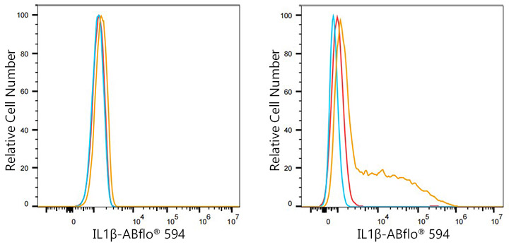 ABflo® 594 Rabbit anti-Human IL-1β mAb