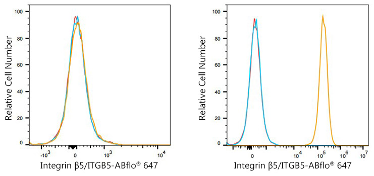 ABflo® 647 Rabbit anti-Human Integrin β5/ITGB5 mAb