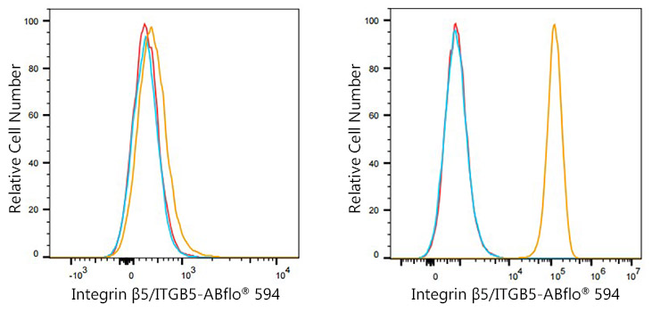 ABflo® 594 Rabbit anti-Human Integrin β5/ITGB5 mAb