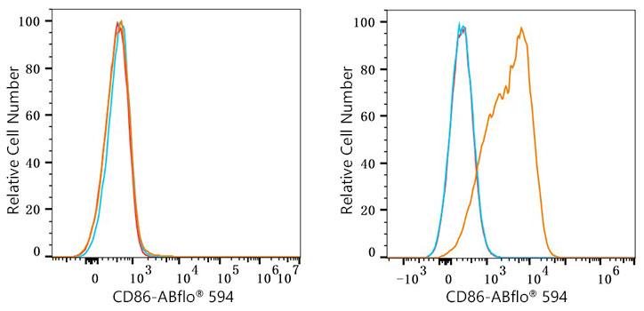 ABflo® 594 Rabbit anti-Human CD86 mAb