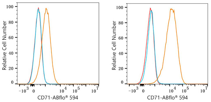 ABflo® 594 Rabbit anti-Human CD71 mAb