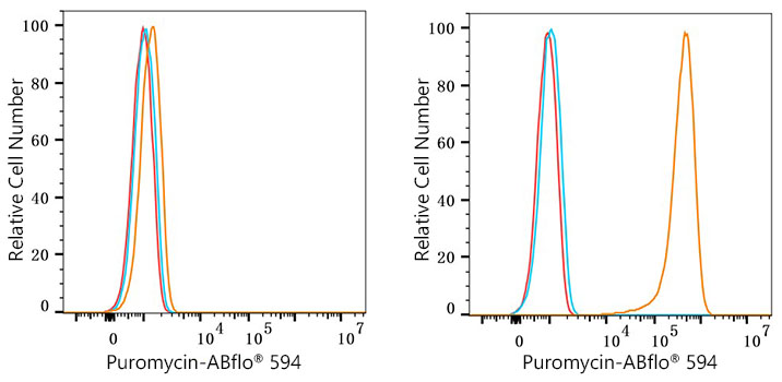 ABflo® 594 Rabbit anti-puromycin mAb