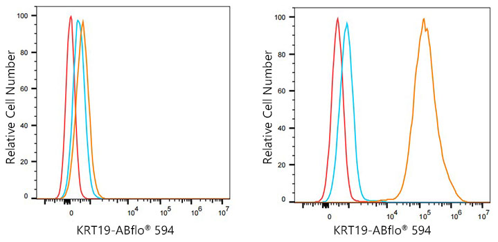 ABflo® 594 Rabbit anti-Human Cytokeratin 19 (KRT19) mAb