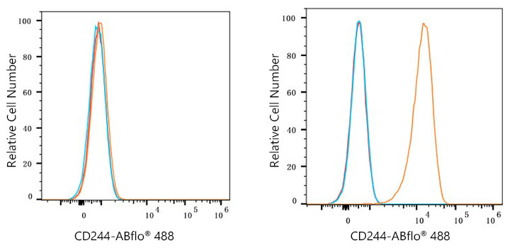 ABflo® 488 Rabbit anti-Human CD244/2B4 mAb