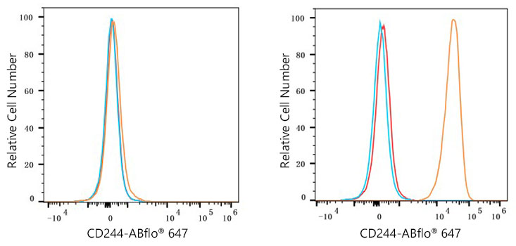 ABflo® 647 Rabbit anti-Human CD244/2B4 mAb