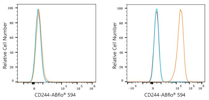 ABflo® 594 Rabbit anti-Human CD244/2B4 mAb